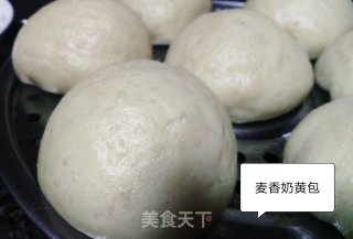麦香奶黄包的做法