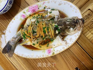 清蒸鲈鱼的做法