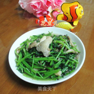 秀珍菇炒茼蒿的做法