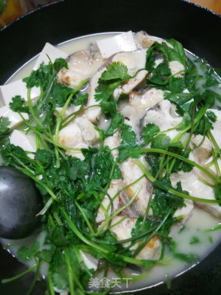 青鱼豆腐汤的做法