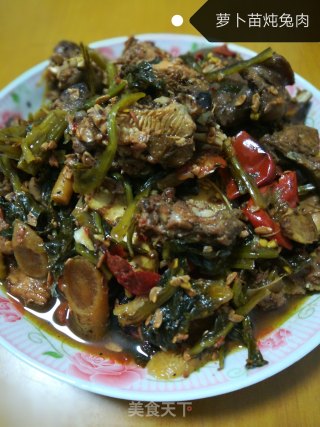 萝卜苗炖兔肉的做法