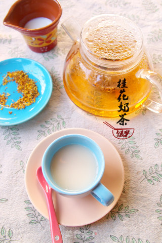 桂花奶茶的做法