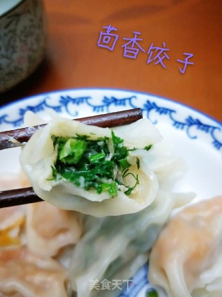 茴香饺子的做法