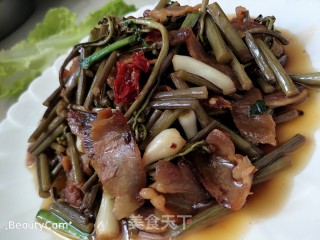 蕨菜炒腊月的做法