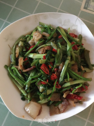 野芹菜炒五花肉的做法