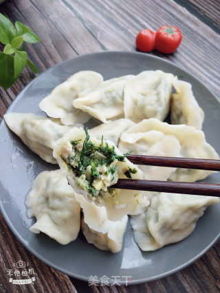荠菜猪肉水饺的做法