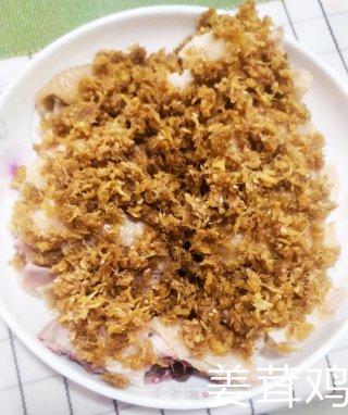 姜茸鸡的做法