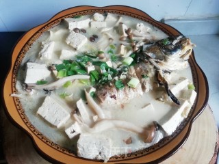 一锅鲜&鲫鱼豆腐汤的做法