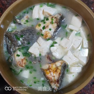 鳘鱼豆腐汤的做法