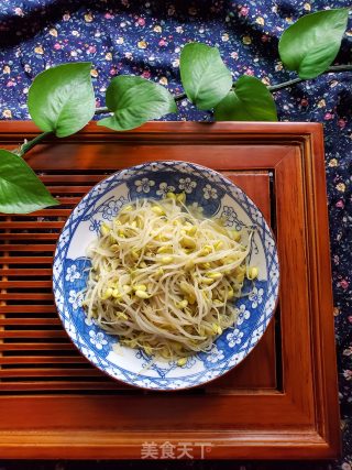 清炒黄豆芽的做法