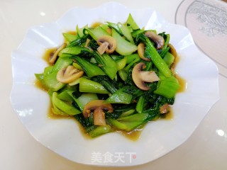 蘑菇炒青菜的做法