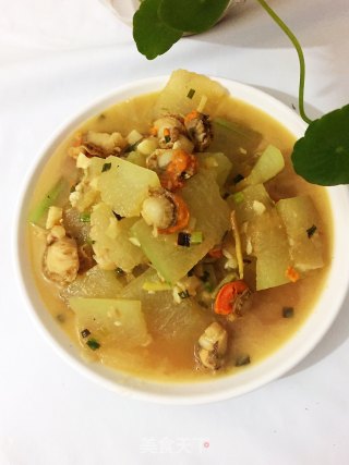 扇贝肉烧冬瓜的做法