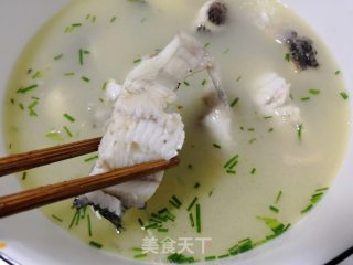 黑鱼汤的做法
