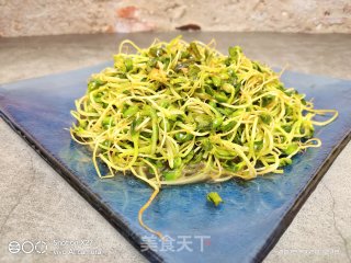 葱香黑豆芽的做法