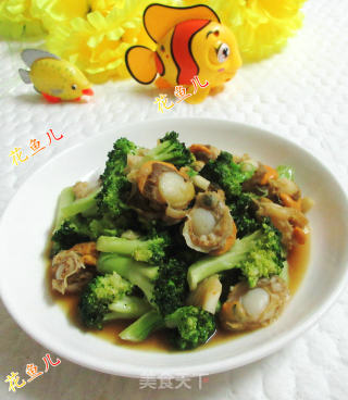 扇贝肉炒西兰花的做法