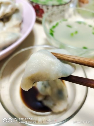 一道清淡的韭菜鸡蛋饺子，当天吃，不宜留第二天，热气腾腾的，暖冬的美食，爱吃的美女们试试吧！的做法