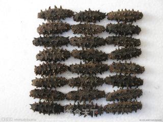干海参的泡发的做法