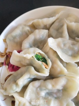 立冬虾皮韭菜水饺