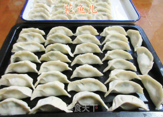韭菜鸡蛋肉馅饺子的做法