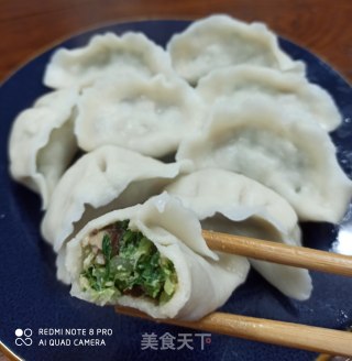 香芹猪肉饺子的做法