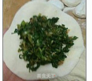 小白菜猪肉包的做法步骤：12