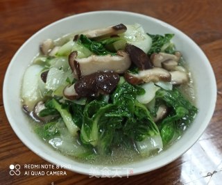 鲜香菇烧青菜的做法