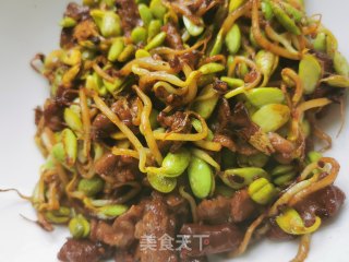 爆炒黑豆芽的做法