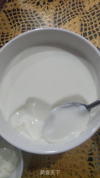 自制酸奶的做法