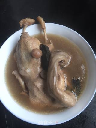 灵芝水鸭汤的做法