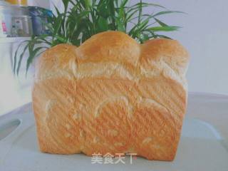 冷藏发酵牛奶吐司的做法