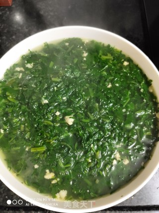 苦麻菜肉末汤的做法