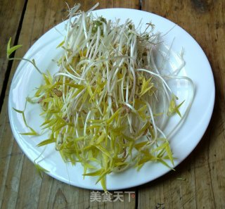 发绿豆芽的做法