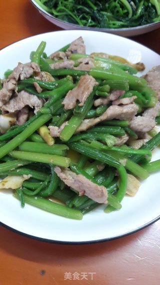 瘦肉炒南瓜苗的做法