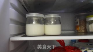 自制酸奶的做法
