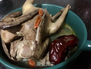“肉类”西洋参虫草炖鸽子的做法