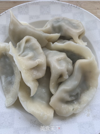 茴香猪肉馅水饺的做法