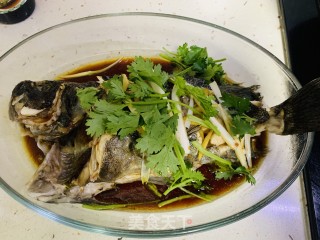 清蒸黑头鱼的做法