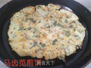 马齿苋煎饼的做法
