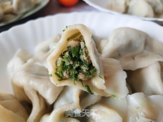 茴香猪肉馅水饺的做法