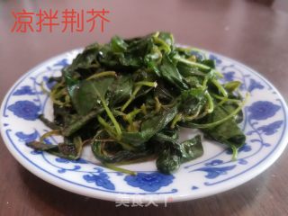凉拌荆芥的做法