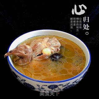 灵芝鸽子汤的做法