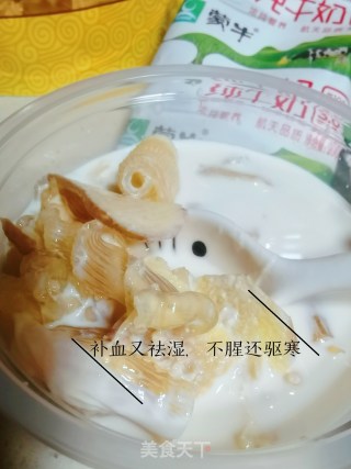 鱼胶姜奶的做法