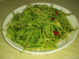辣炒豌豆苗的做法
