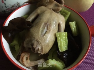 木耳苦瓜炖鸽子的做法
