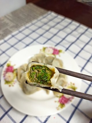 鲜肉茴香饺子的做法