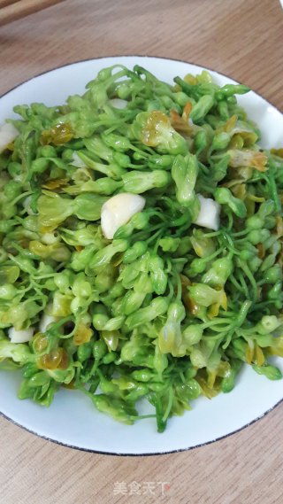 蒜炒夜香花的做法