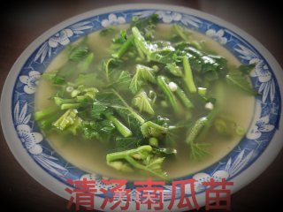 清汤南瓜苗的做法
