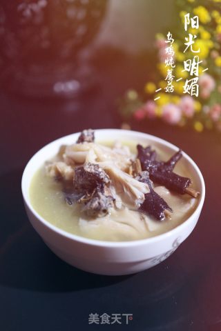 乌鸡蘑菇汤的做法
