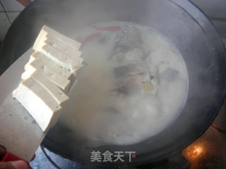 鲫鱼汤的做法步骤：5