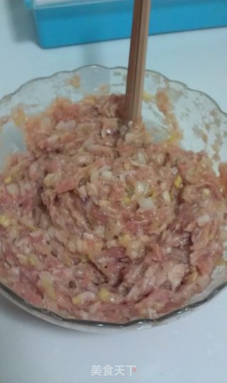 南北方都爱吃的超简单版锅贴的做法步骤：5